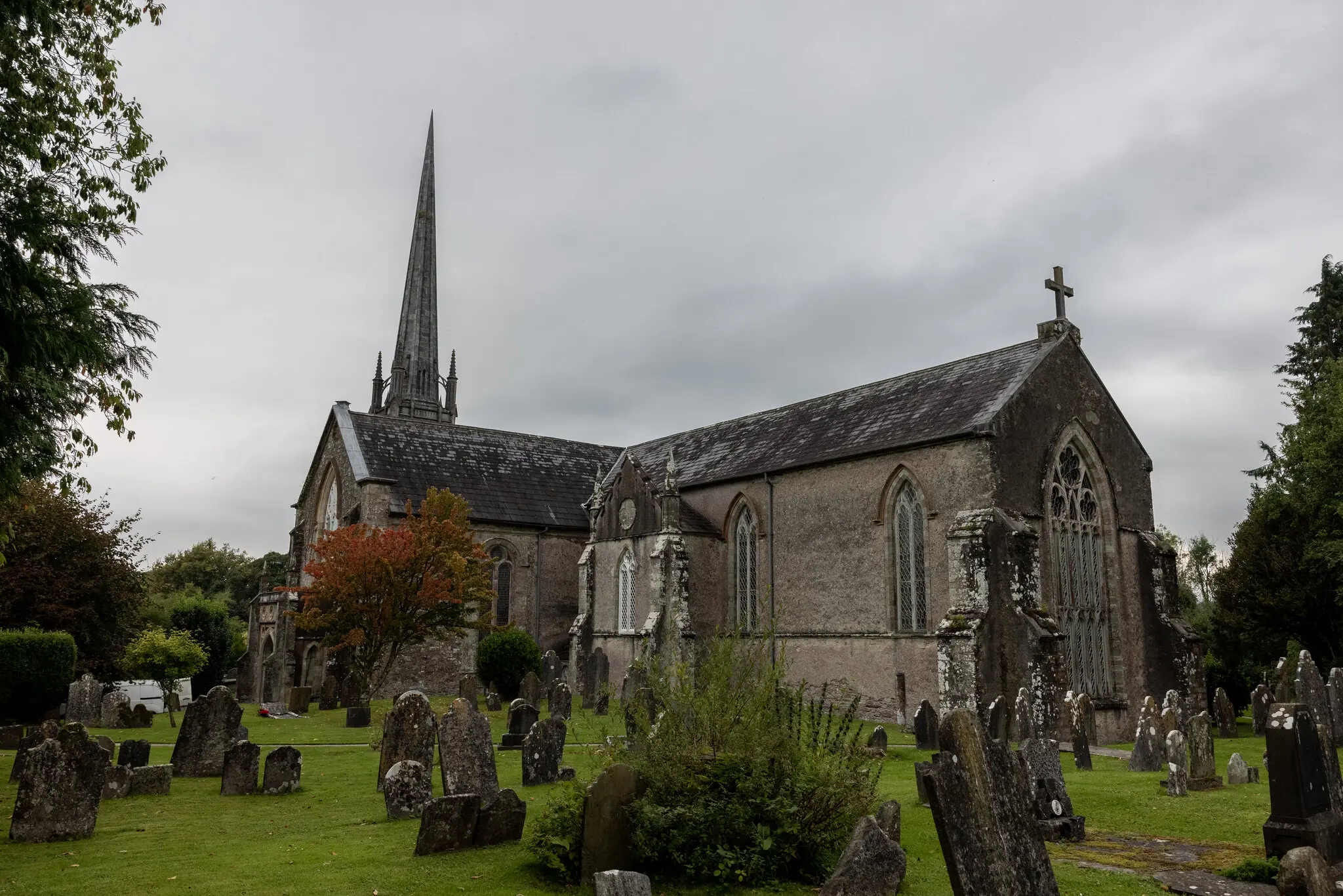 Під час оперного фестивалю в долині Блекуотер деякі вистави відбуваються в соборі Святого Карфагена в Лісморі.
